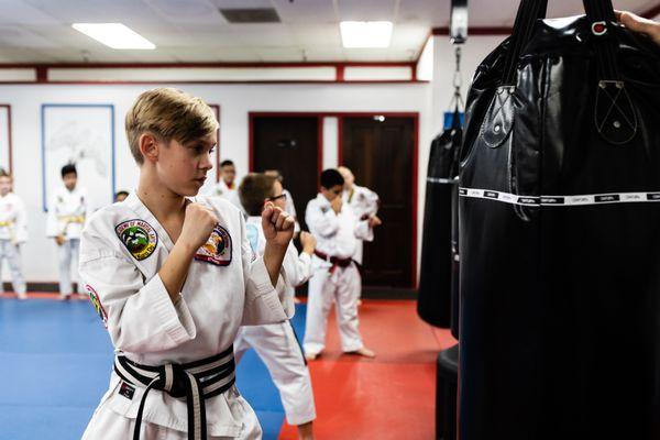 American Academy of Martial Arts