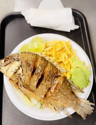 Mojara with fries (or salad )