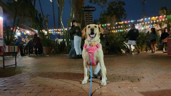 Fiesta Old Town Cinco de Mayo 2012