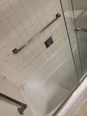 Bayon Cleaning and Hauling