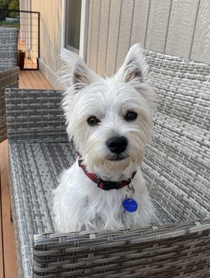 Gig Harbor Ace Hardware