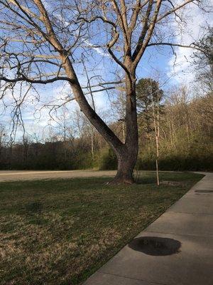 Windermere Park