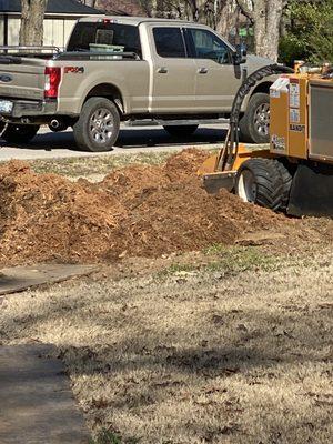 Presley’s landscape