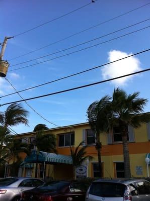 Bougainvillea on the Beach