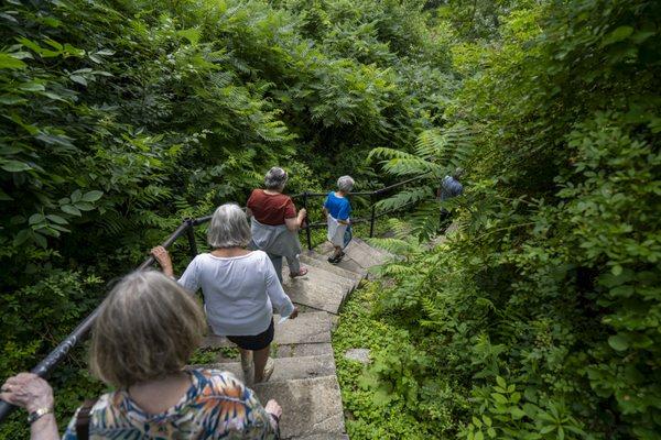 ( by City of Saco Communications)