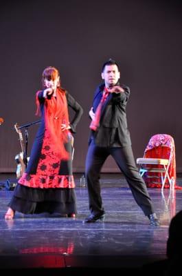 Flamenco Chicago