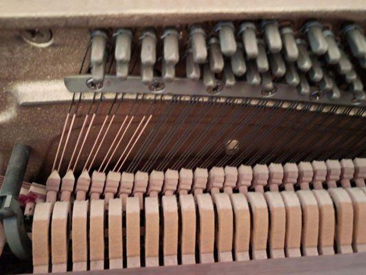 Interior of an upright