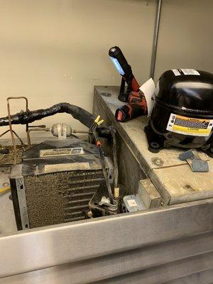 Today Commercial Refrigerator repair