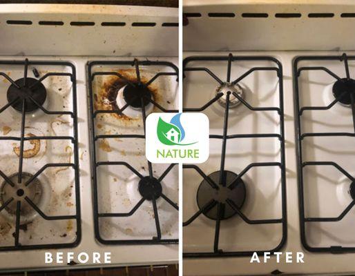 Nature Cleaning Services