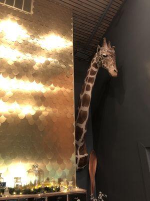 They have the coolest giraffe in this place!!!