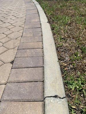 T & P Pavers