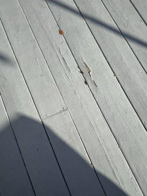 Korth & Shannahan Painting and Carpentry