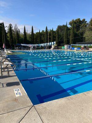 Northeastern University