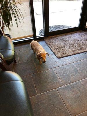 Planet Chiropractic - Mill Creek