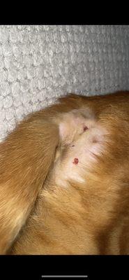 Moses Creek Animal Hospital