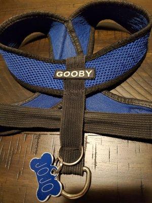 Heavy Duty stitching to repair our favorite dog harness.