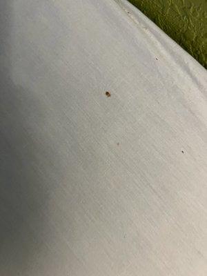 You can clearly see the bugs.