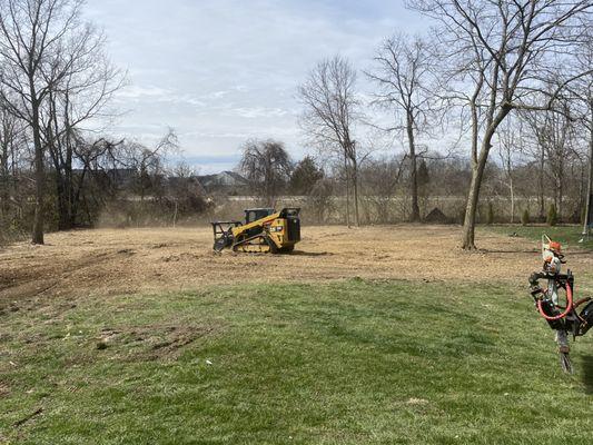 Cincinnati’s Timber