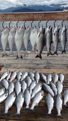 Fish Finder Charters