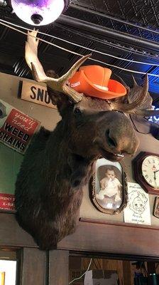 He's such a good boy