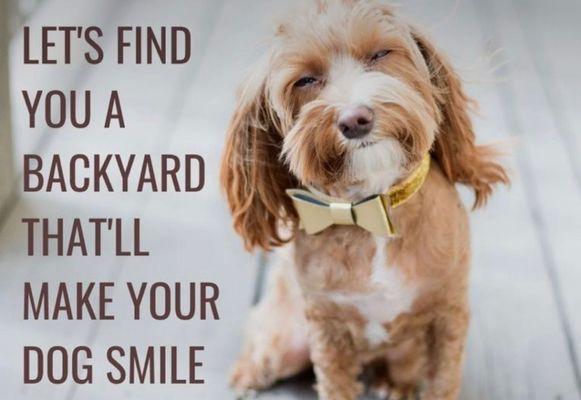 Lets find a home that your pet will love