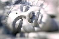 Shakti Wellness Sanctuary