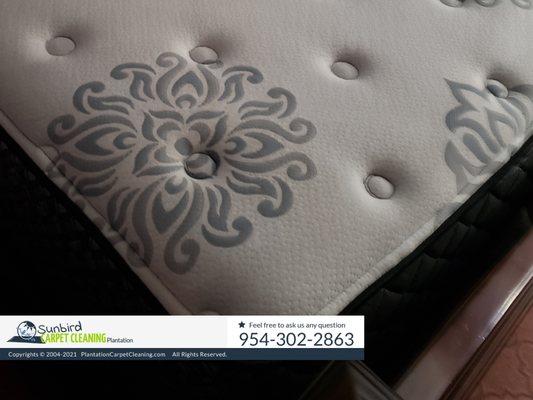 Sunbird Carpet Cleaning Plantation