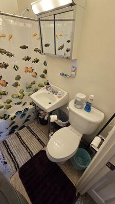 Shine On Maintenance