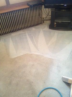 Grime Busters Carpet & Tile Care