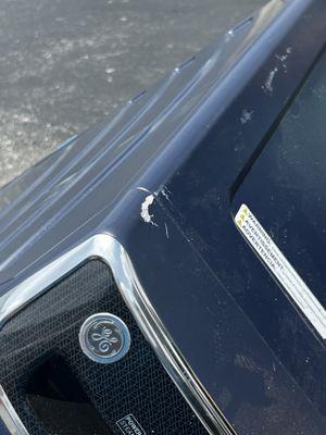 Make Your Move Colorado