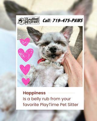 PlayTime Pet Sitters & Dog Walkers