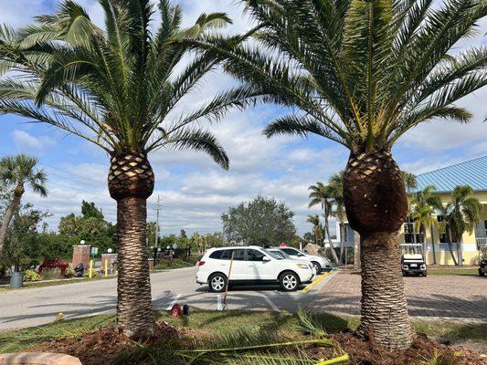 Octavio General Repairs