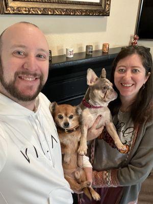 Miss Molly's Mobile Dog Spa