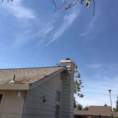 Ramirez Tree Service