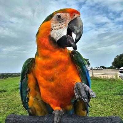 Billiar Animal Hospital