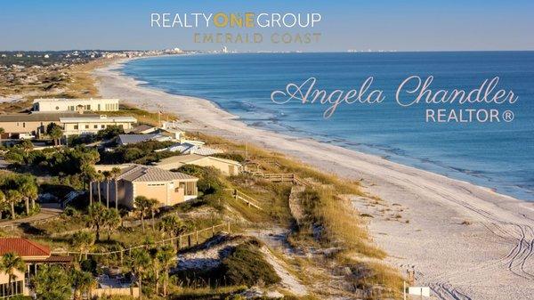Angela Chandler - Realty One Group