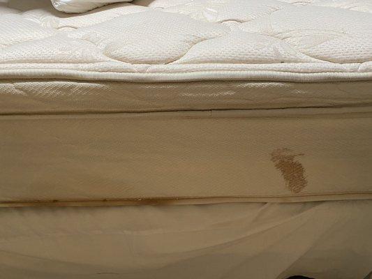 Gross terrible mattress