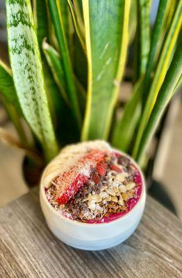 Vibe Organic Juice Bar