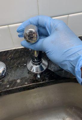 Sorella Brilliance Cleaning