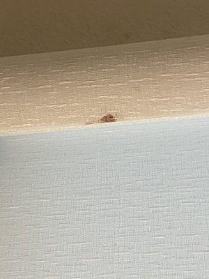 Home Remedies Interior Design