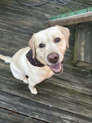 This is one happy Dilly!!