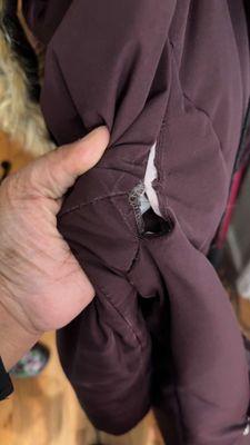 Daisy Fresh Drive-In Cleaners