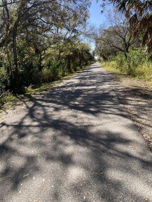 Siesta Key Bike & Kayak