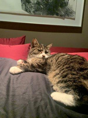 Johnston Floyd Construction Co