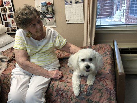 Jeff Powell Mobile Notary Service