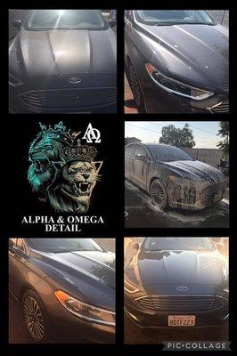 Alpha & Omega Detail