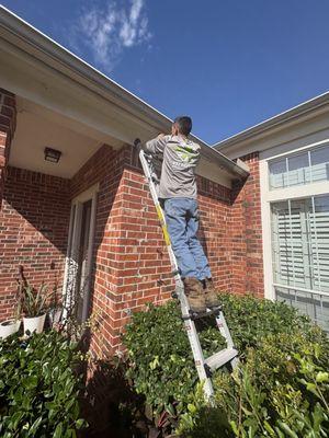 Pepes Landscaping Designs