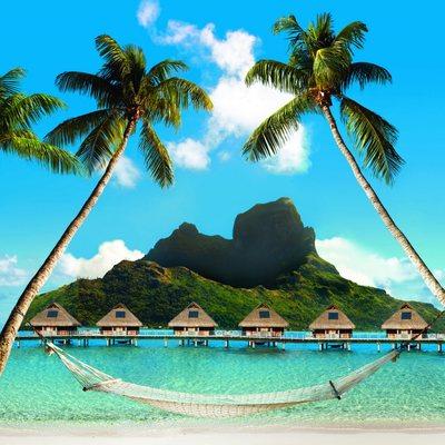 Brandy Honeycutt - Expedia Cruises