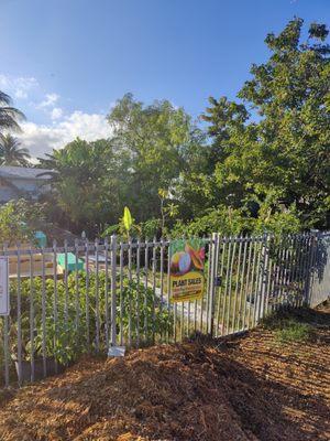 Edible Landscaping & Fruit Tree Nursery