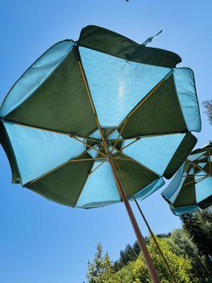 Under the Summer Sun